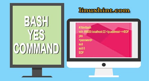 Bash yes Command