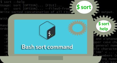 Bash sort command