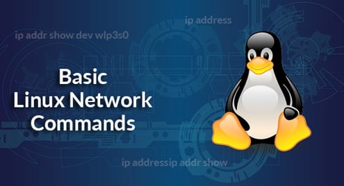 Basic Linux Network Commands