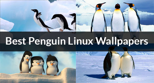 Best Penguin Linux Wallpapers