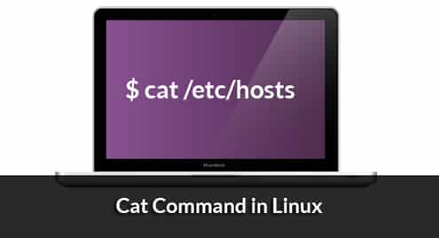 Cat Command in Linux