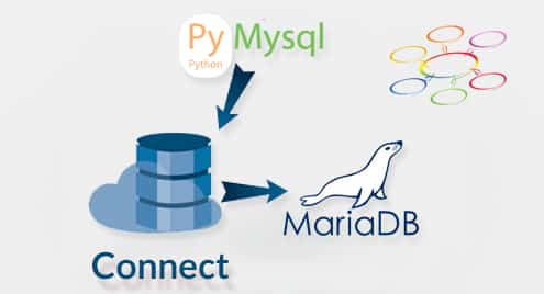 Connecting to MariaDB with PyMySQL