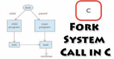 Fork System Call in C