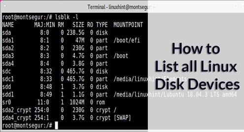 How to List all Linux Disk Devices