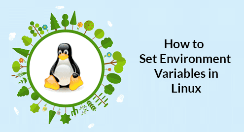 How to Set Environment Variables in Linux