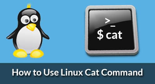 How to Use Linux Cat Command