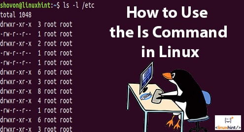 How to Use the ls Command in Linux