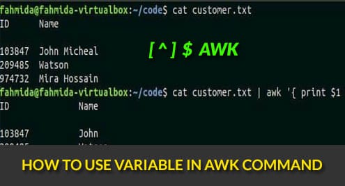 How to use variable in awk command