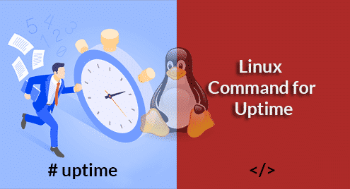 Linux Command for Uptime