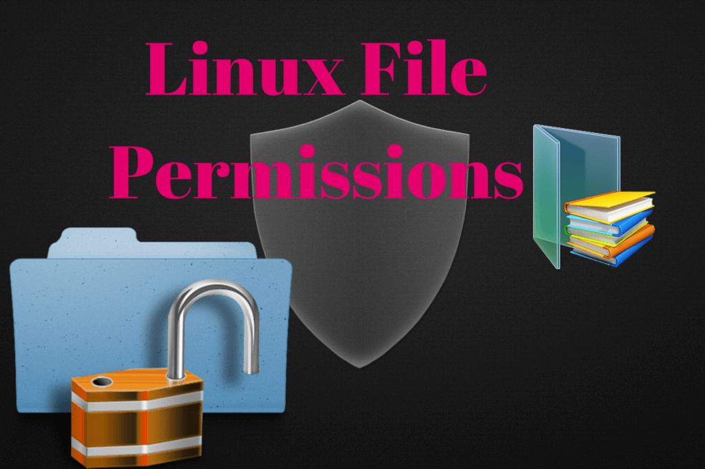 [linux_basic] File Permissions