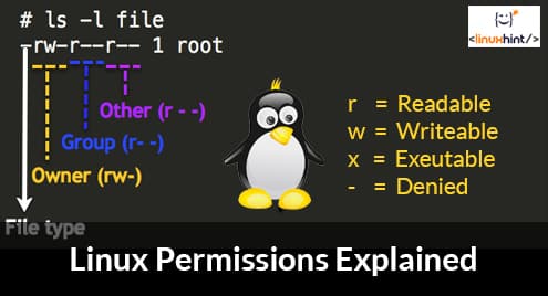 Linux Permissions Explained