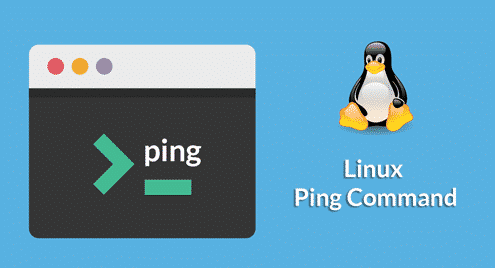 Linux Ping Command