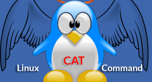 Linux cat Command