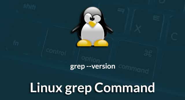 Linux grep Command