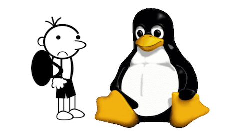 Linux Kernel Tutorial for Beginners