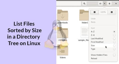 List Files Sorted by Size in a Directory Tree on Linux