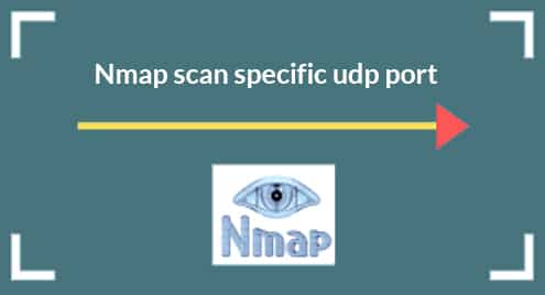 Nmap scan specific udp port