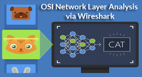 OSI Network Layer Analysis via Wireshark