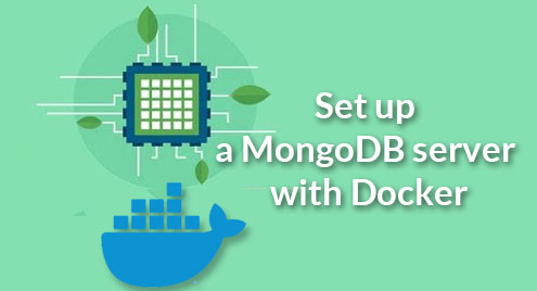 Set up a MongoDB server with Docker