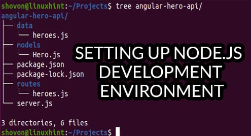 Setting Up Node.js Development Environment