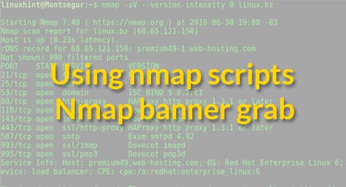 Using nmap scripts: Nmap banner grab