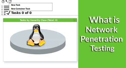 What is Network Penetration Testing