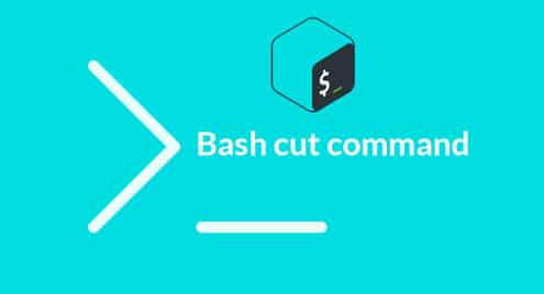 Bash cut command