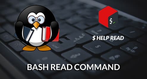 Bash read command