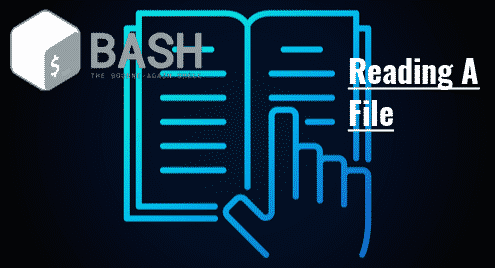 How to read file line by line in Bash script