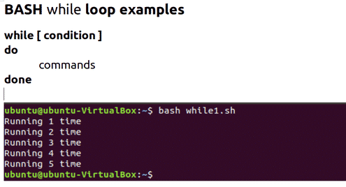 BASH While Loop Examples