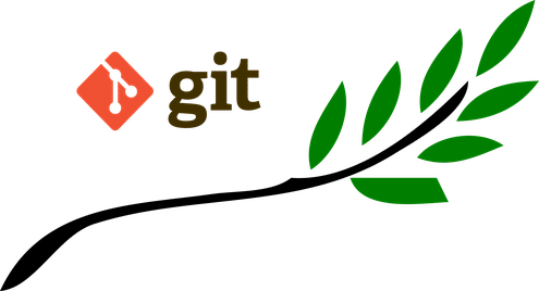 Git Branch Basics