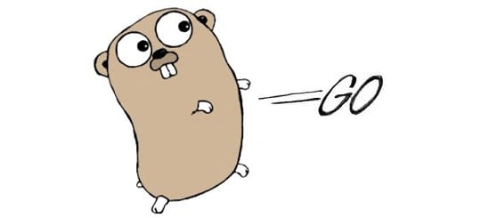 Install Golang 1.7.x Programming Language on Linux