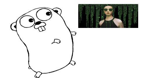 Golang Strings