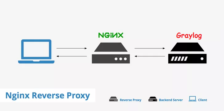 Hướng dẫn cấu hình nginx với ssl làm reverse proxy cho graylog