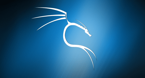 Kali Linux Tutorial