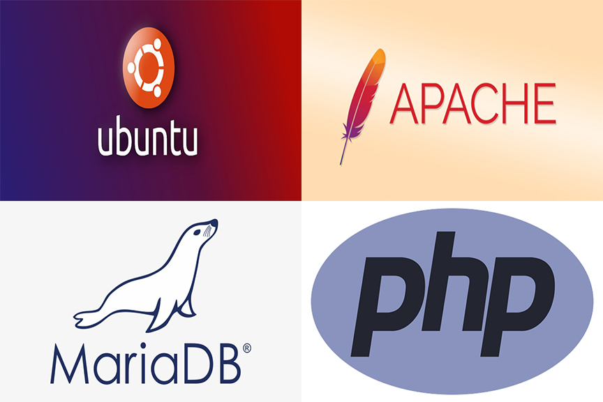 Hướng dẫn cài đặt LAMP stack trên Ubuntu 20.04 LTS