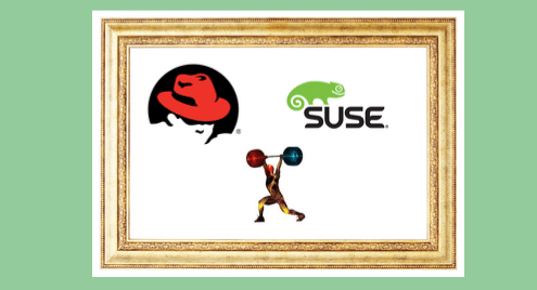 RedHat Versus SUSE: The Battle of Enterprise Linux Distributions