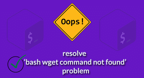 How to resolve ‘bash wget command not found’ problem